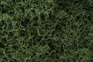 Woodland Scenics L163 Medium Green Lichen Bag