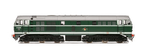 Hornby R30120 BR Class 31 A1A-A1A D5500 - Era 5